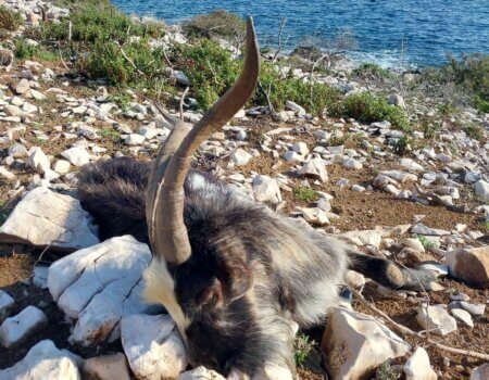 wta_2222_82932ccb-f760-45bb-933f-c1092fc09fed