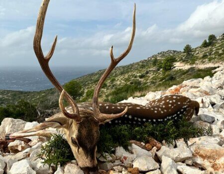 wta_2222_PHOTO-2023-10-19-13-54-02