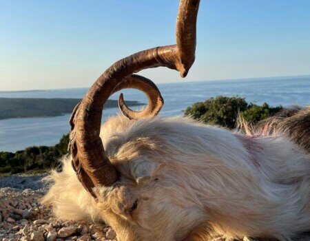 wta_2222_WhatsApp Image 2022-12-17 at 10.53.12 (12)