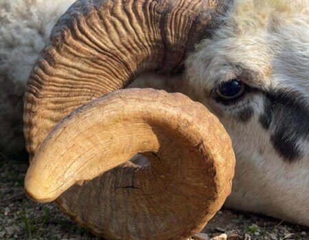 wta_2222_WhatsApp Image 2022-12-17 at 10.53.12 (15)