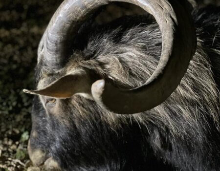 wta_2222_WhatsApp Image 2022-12-17 at 10.53.12 (16)