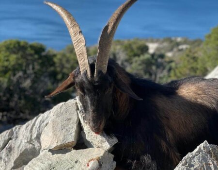 wta_2222_WhatsApp Image 2022-12-17 at 10.53.12 (18)