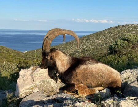 wta_2222_WhatsApp Image 2022-12-17 at 10.53.55 (4)