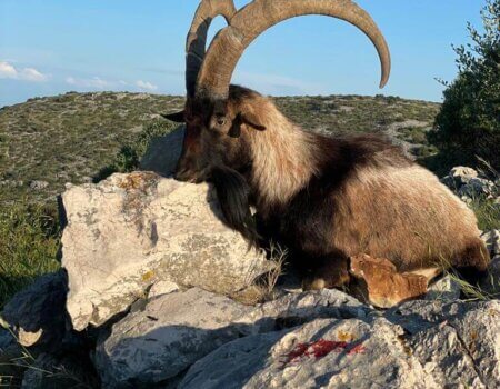 wta_2222_WhatsApp Image 2022-12-17 at 10.53.55 (5)