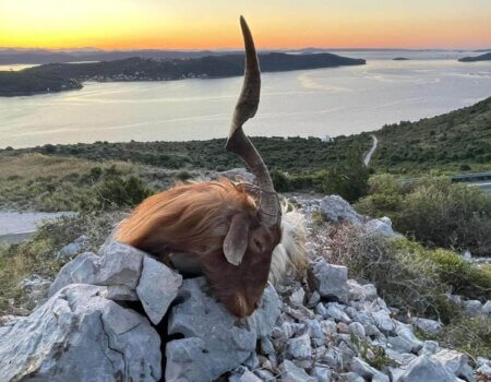 wta_2222_WhatsApp Image 2022-12-17 at 10.53.55 (6)