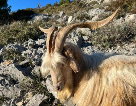 wta_2222_WhatsApp Image 2022-12-17 at 12.17.58