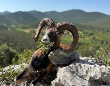 wta_2222_WhatsApp Image 2024-07-09 at 15.52.00 (3)