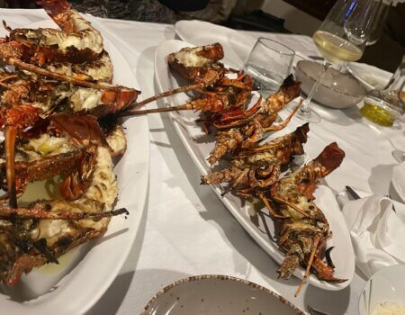 wta_2222_cb05bf5c-a8fe-4f5e-b1c8-29d7fdd59f11