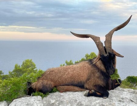 wta_2222_d0324ac9-2efa-4180-936f-7b5671bf3eab