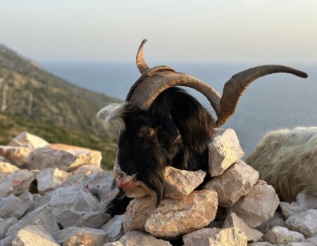 wta_2222_ecce003e-d6d9-4ac8-a8d1-7cb1c91a10f3