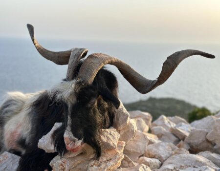 wta_2222_f3eaec72-6126-4f32-b494-a001973c6488