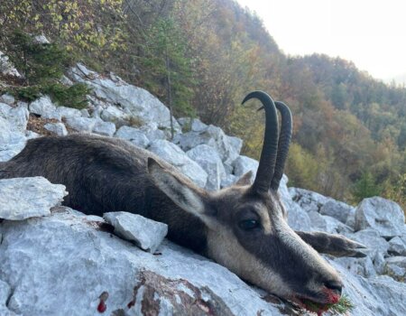 wta_2223_WhatsApp Image 2022-12-20 at 00.28.57