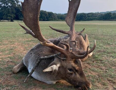 wta_2223_WhatsApp Image 2022-12-20 at 00.29.52 (1)