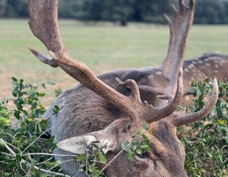 wta_2223_WhatsApp Image 2022-12-20 at 00.29.52 (2)