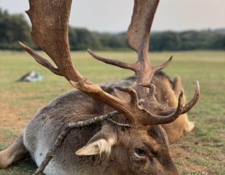 wta_2223_WhatsApp Image 2022-12-20 at 00.29.52