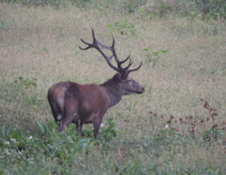 wta_2226_57245183-6a54-49b0-9ce5-91e76eca26d5