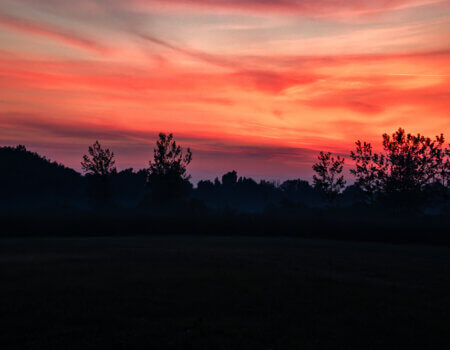 wta_2226_DSC05163-Enhanced-NR