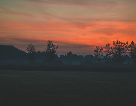 wta_2226_DSC05163-Enhanced-NR