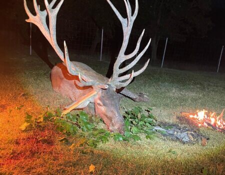 wta_2226_WhatsApp Image 2025-08-27 at 22.14.16