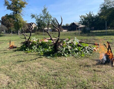 wta_2226_WhatsApp Image 2025-08-27 at 22.14.17 (1)