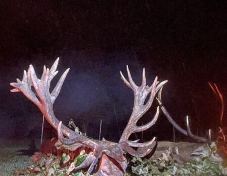 wta_2226_WhatsApp Image 2025-08-27 at 22.14.17 (2)