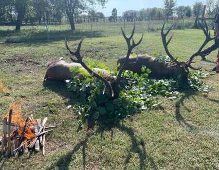 wta_2226_WhatsApp Image 2025-08-27 at 22.14.17