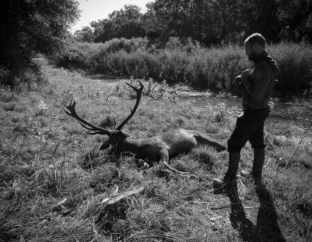 wta_2226_cd860b68-fdeb-45c8-88c6-7bb27699e140