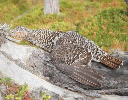 wta_2229_2c6f7a05-604e-487a-9321-ff0a97ac6744