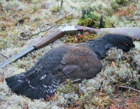 wta_2229_87f54481-2018-49ce-9c62-3958fb60fb83