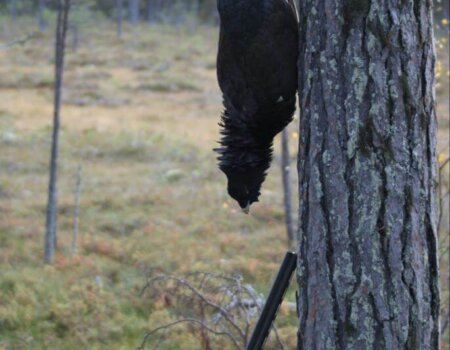 wta_2229_bf7cdccd-e3fc-4a83-ba1a-58baf4bce76b