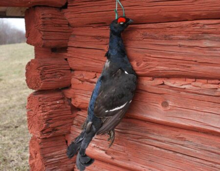 wta_2229_dd8b816a-afc7-4e26-8d9c-11dccd274210