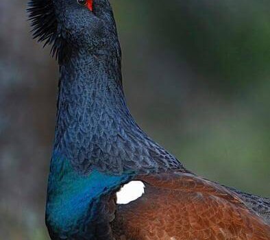 wta_2229_de21532a-baa4-4884-8ae4-5c829adc8aba