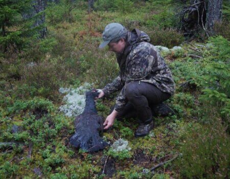 wta_2229_e33f2880-64c5-4f5d-a383-66d540b742a9