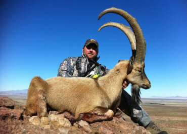 Master the Draw for Oryx, Ibex, and Barbary Sheep in New Mexico