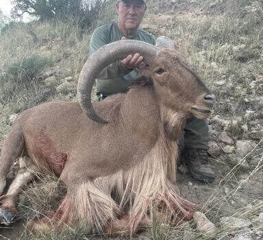 wta_2234_vmatxsls06_1354490618367-5-71B8F3BB-