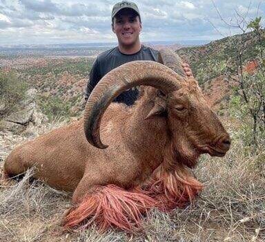 wta_2234_vmatxsls06_1360365589874-9-1D8E2175-