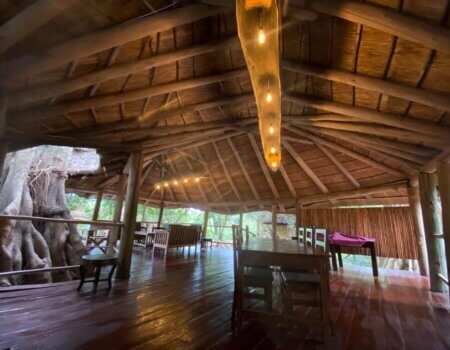 wta_2237_e33748cf-667d-4ca3-ada1-91debcd78311