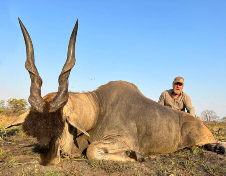 wta_2237_eland