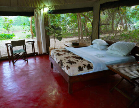 wta_2237_tent-2-scaled