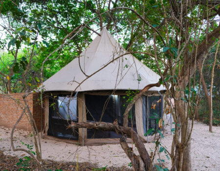 wta_2237_tent-3-scaled