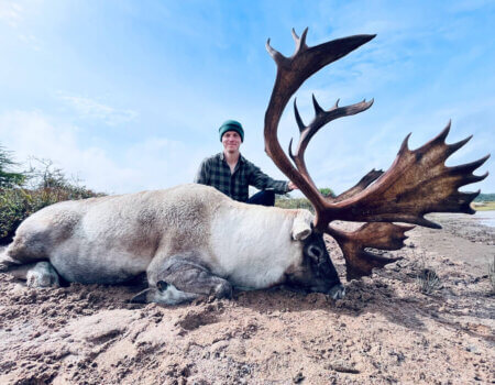 wta_2242_Caribou2-2022