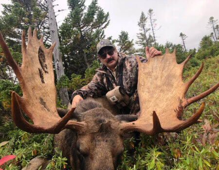 wta_2243_Moose2-2022