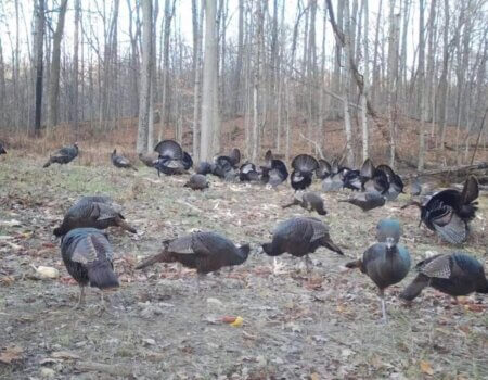 wta_2244_Screenshot 2023-02-27 150402