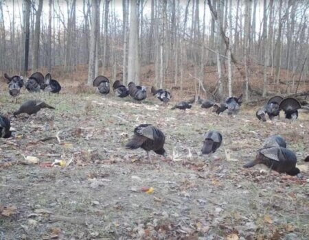 wta_2244_Screenshot 2023-02-27 150456