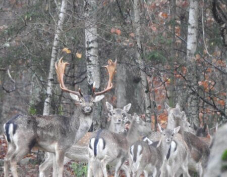 wta_2248_WhatsApp Image 2023-03-15 at 10.55.33 (1)