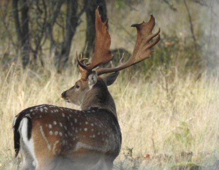 wta_2248_WhatsApp Image 2023-03-15 at 10.55.33