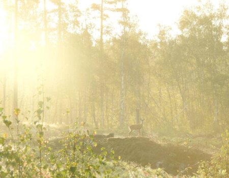 wta_2248_WhatsApp Image 2023-03-15 at 10.55.34 (1)