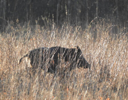 wta_2248_WhatsApp Image 2023-03-15 at 10.55.34 (2)