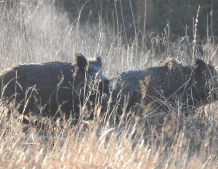 wta_2248_WhatsApp Image 2023-03-15 at 10.55.34 (3)