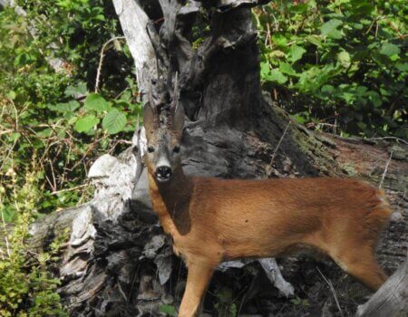 wta_2248_WhatsApp Image 2023-03-15 at 10.55.34